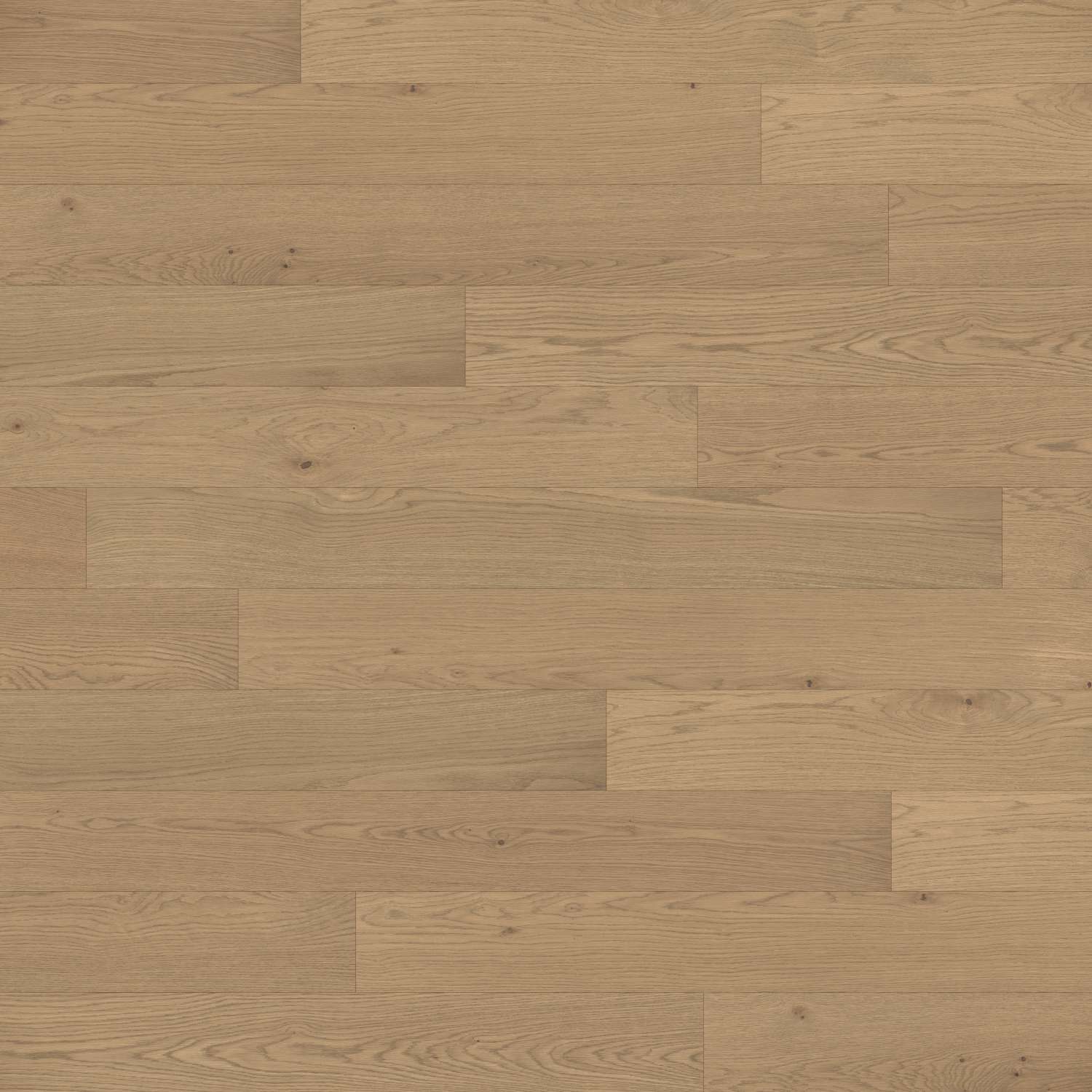 Dřevěná podlaha dýhová PARKY MASTER Sahara Oak Rustic Light