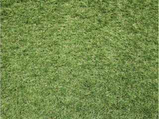 Umělá tráva Sophia New 22 š. 4 m